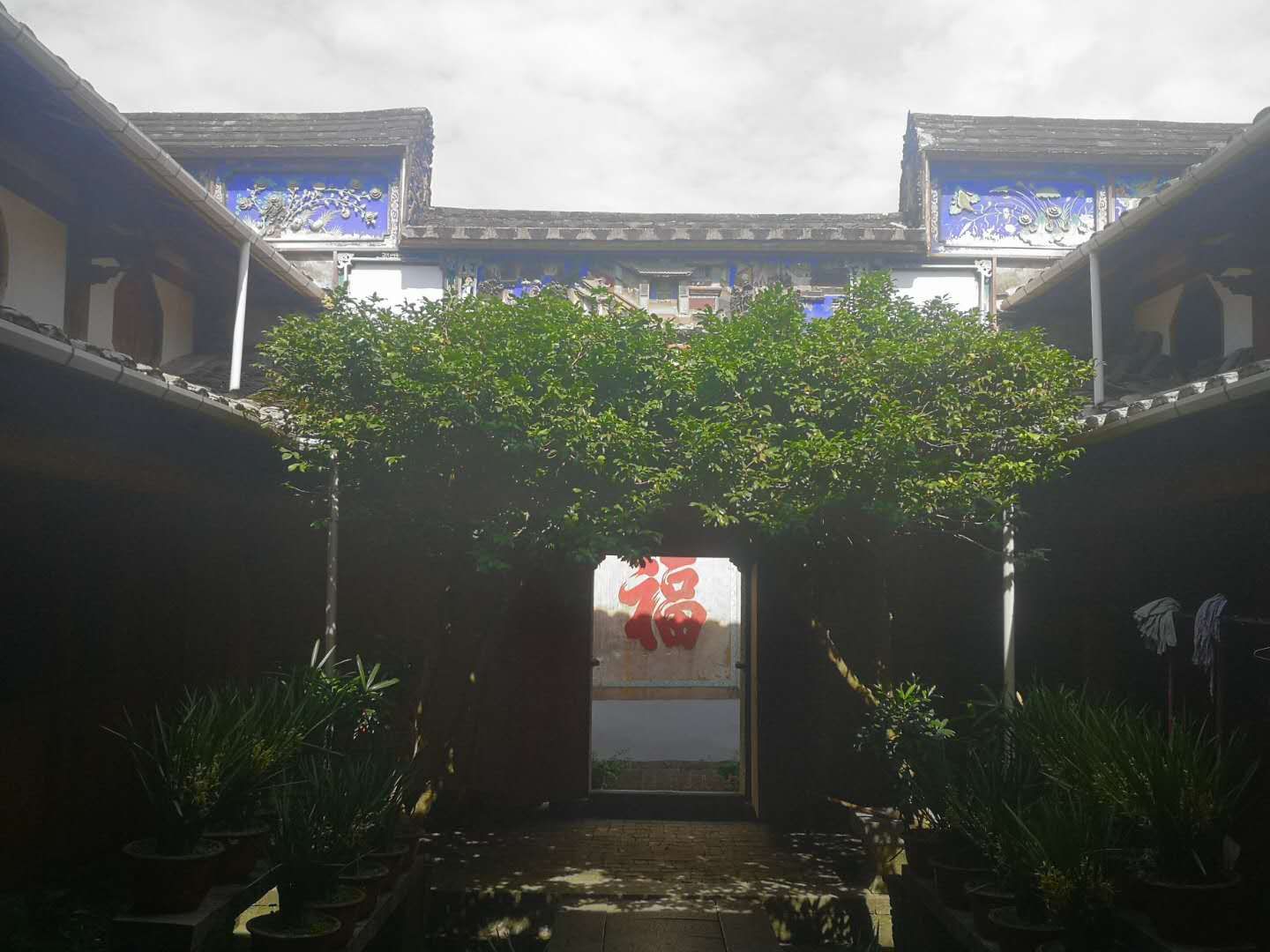 宁德市古田县城东街道桃溪村
