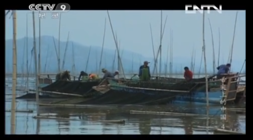 紫菜千千万 只取头水一份「鲜」