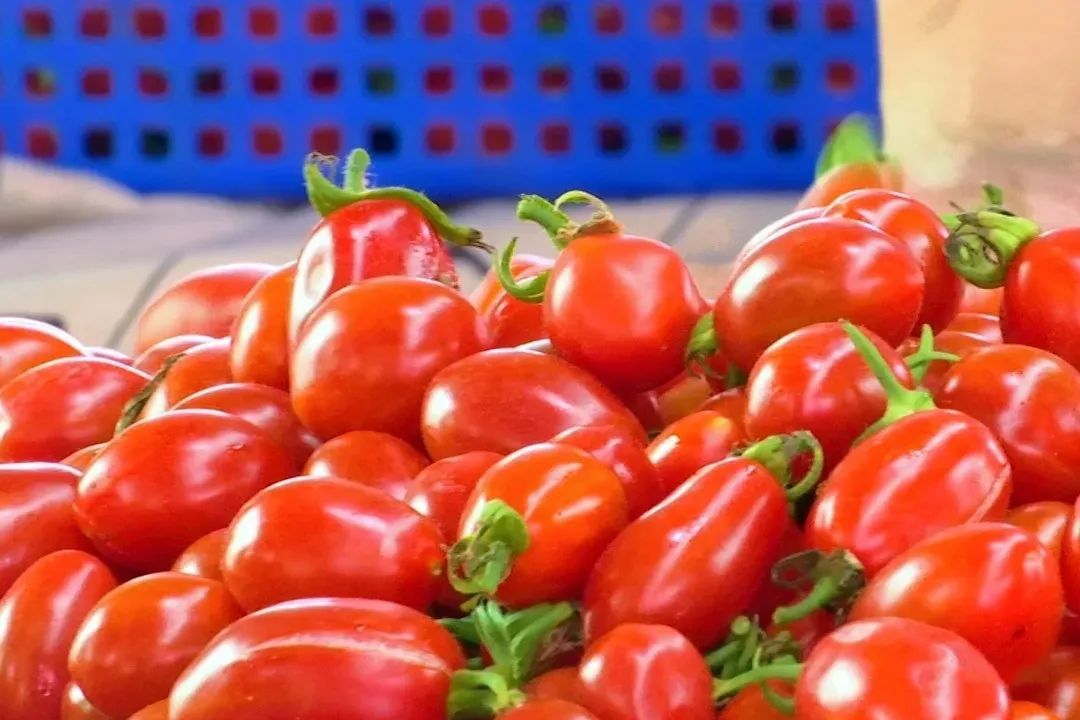 美食霞浦的大半江山