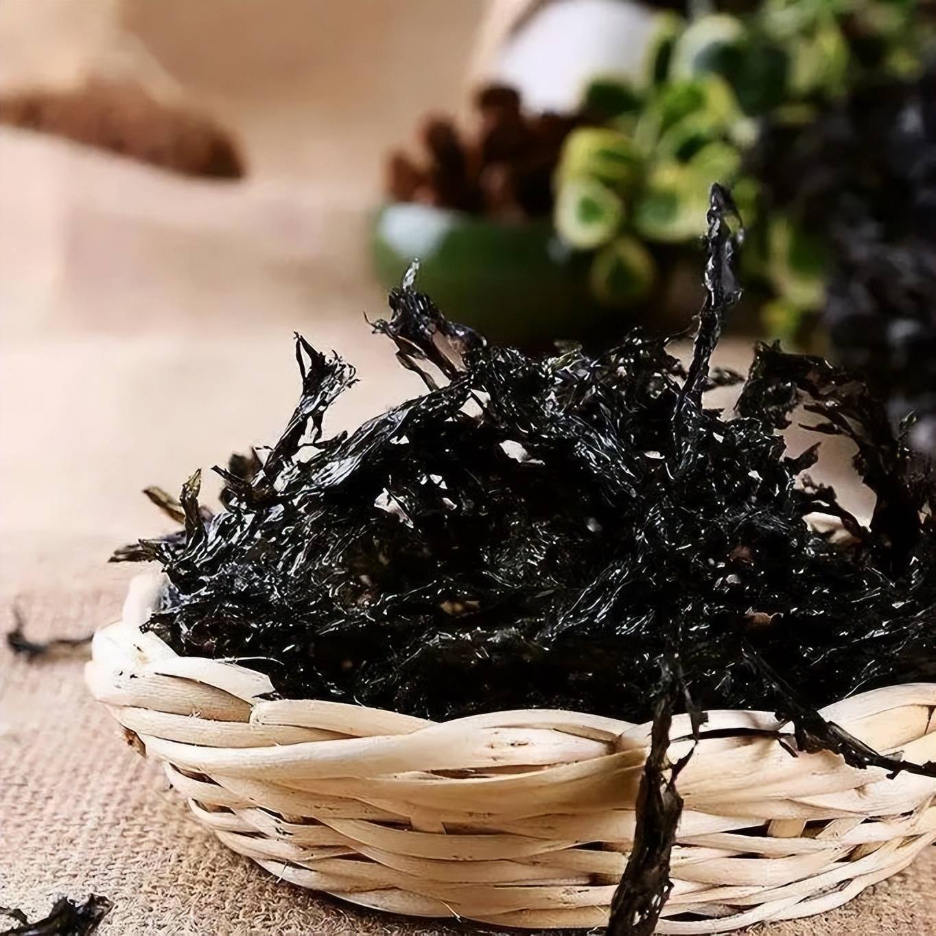 福建海产界的四大天王,4招就俘获福建人的心