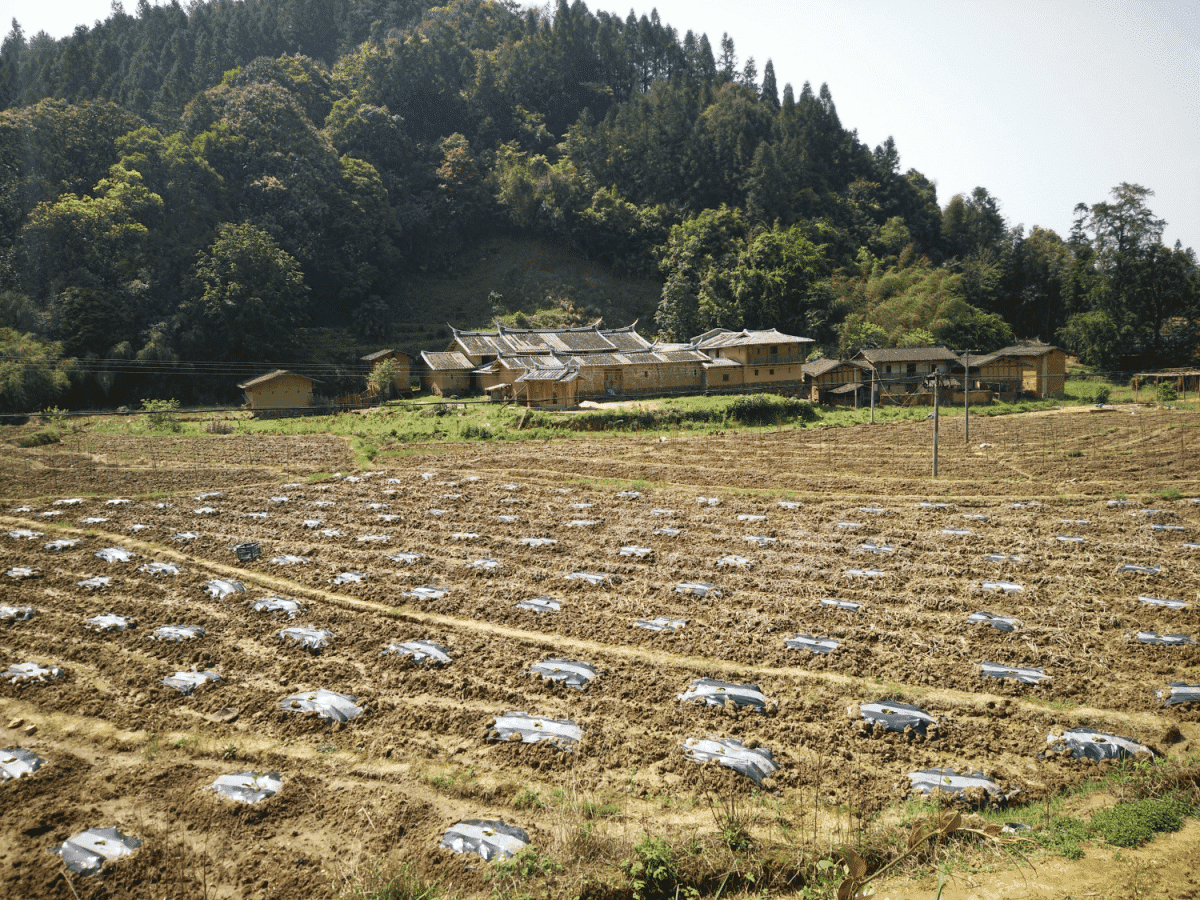 三明市大田县桃源镇东坂村