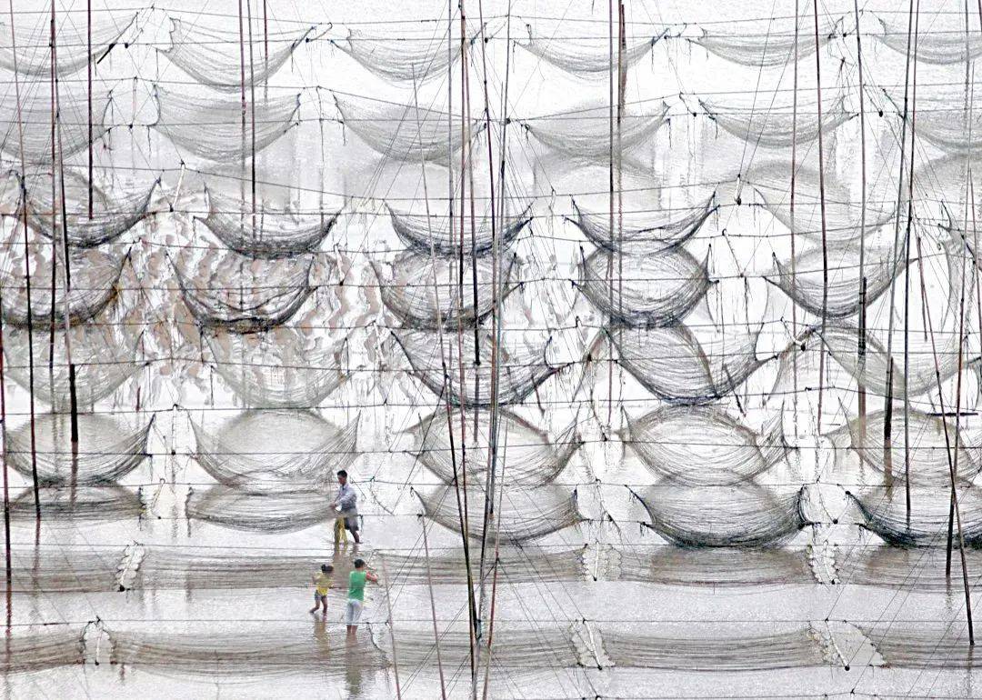 福建海产界的四大天王,4招就俘获福建人的心