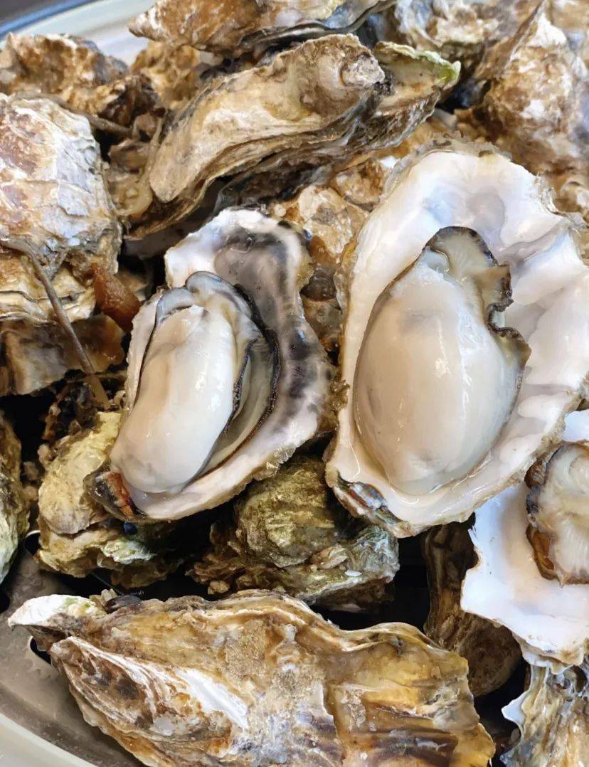 福建海产界的四大天王,4招就俘获福建人的心