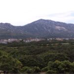 漳州市漳浦县绥安镇大埔村