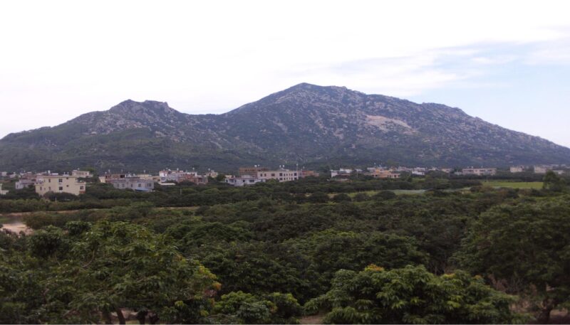 漳州市漳浦县绥安镇大埔村