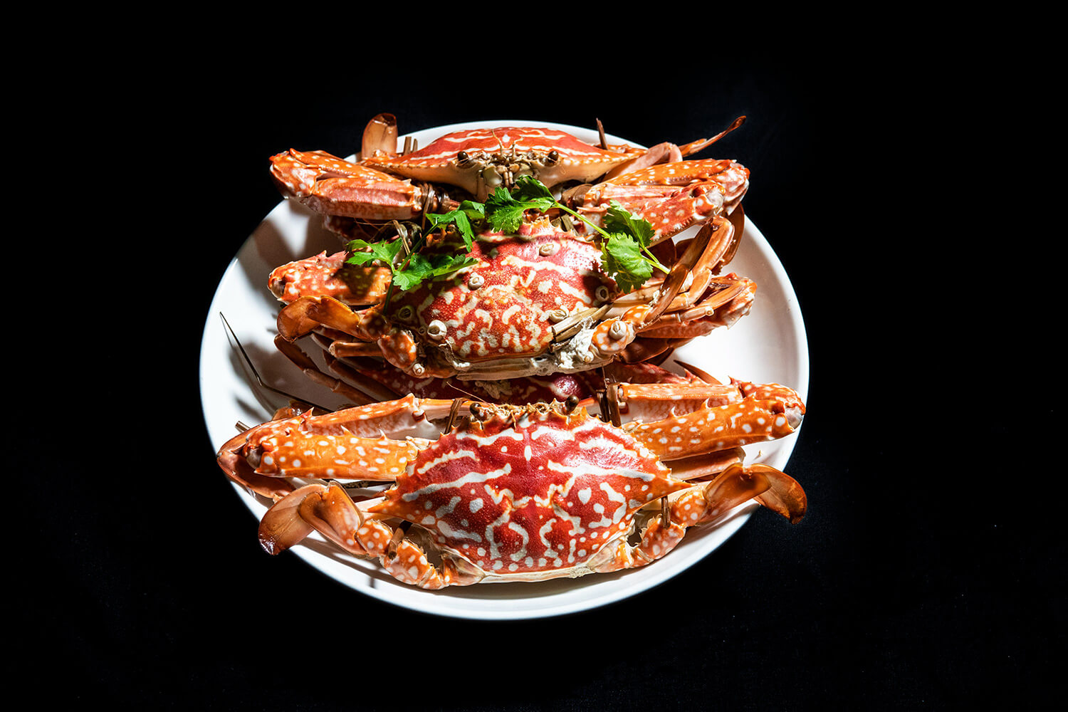 泉州市泉港区南埔镇惠屿村