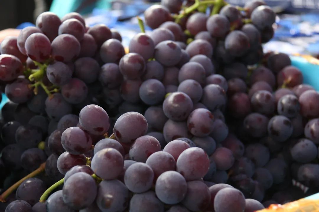 美食霞浦的大半江山