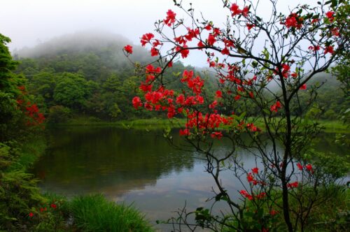 龙岩市长汀县童坊镇马罗村