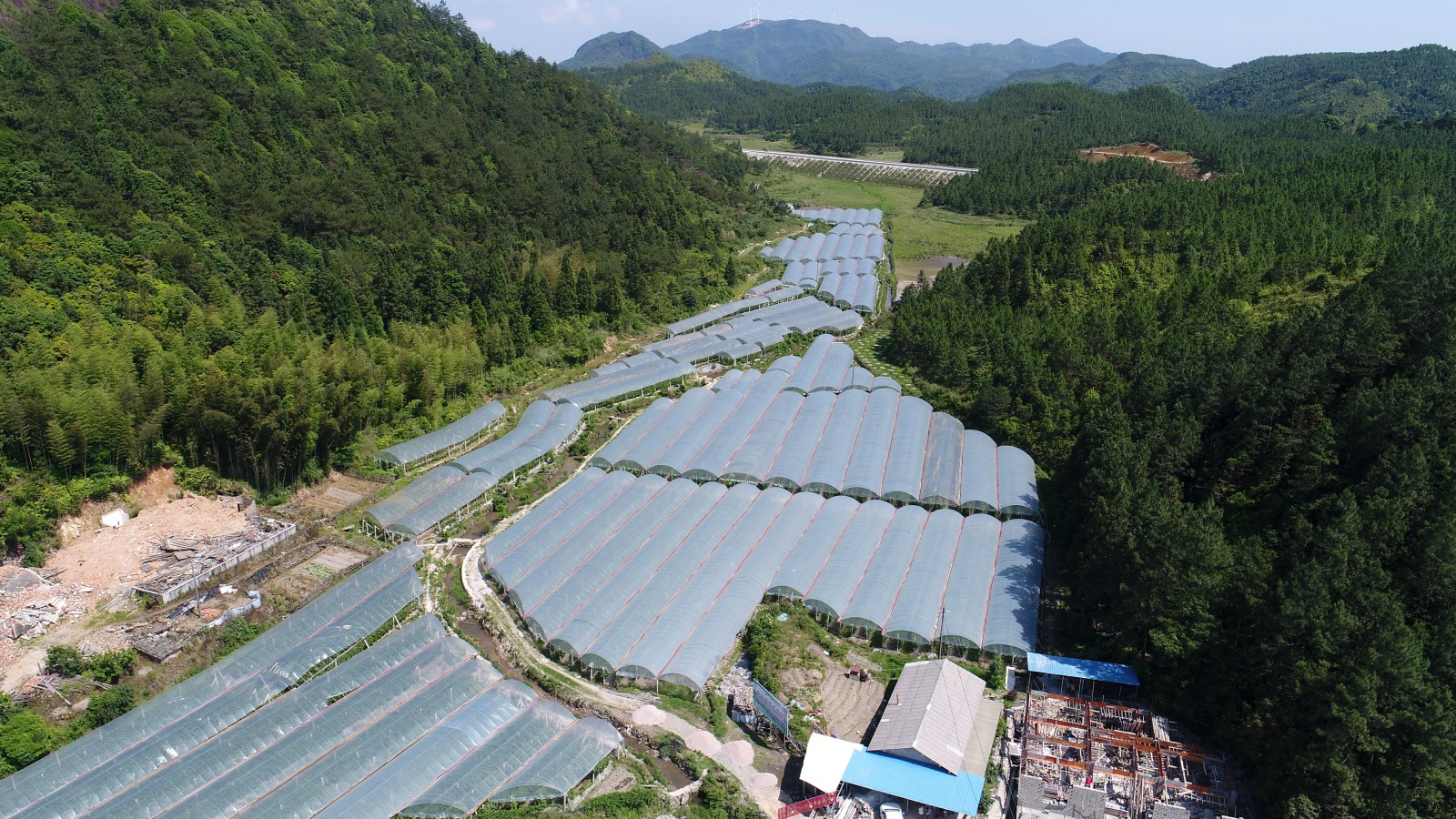 莆田市仙游县西苑乡凤山村