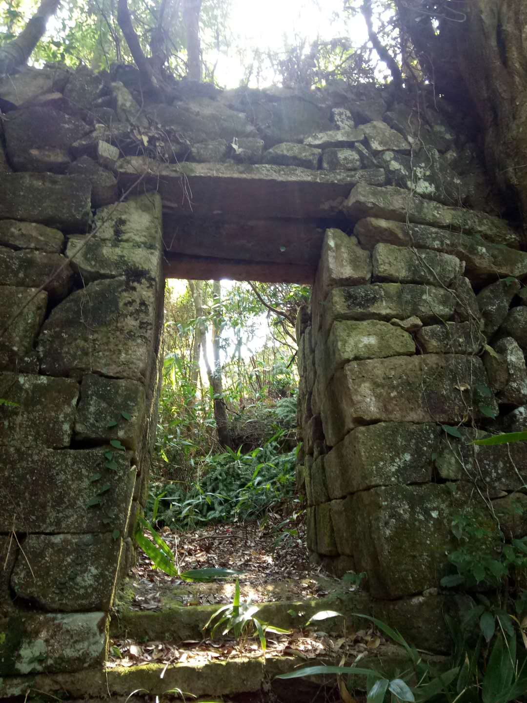 莆田市仙游县西苑乡凤山村