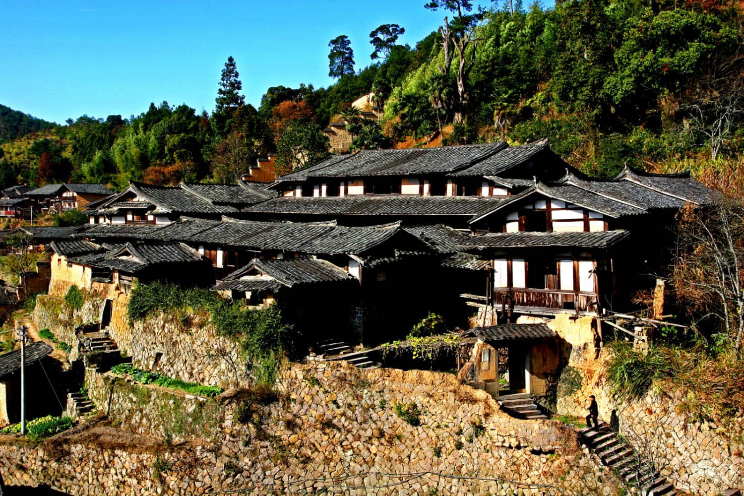 三明市尤溪县洋中镇桂峰村