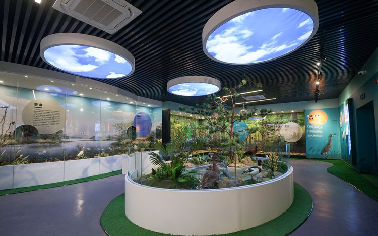 【长汀验客】客家首府~福建长汀,历史寻踪