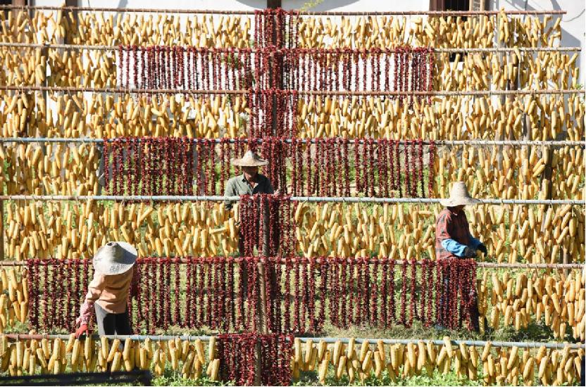三明市尤溪县洋中镇桂峰村