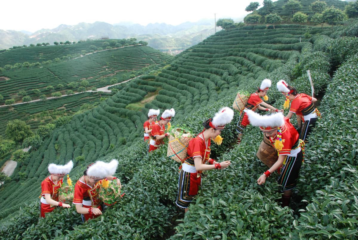 漳州市华安县仙都镇大地村