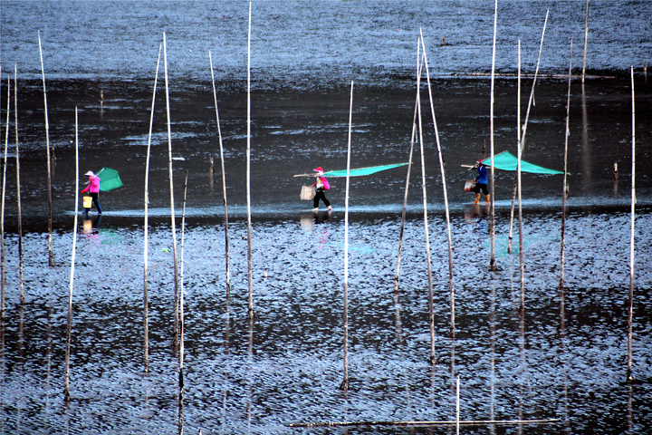 霞浦小皓村：探索霞浦的自然之美与渔业文化