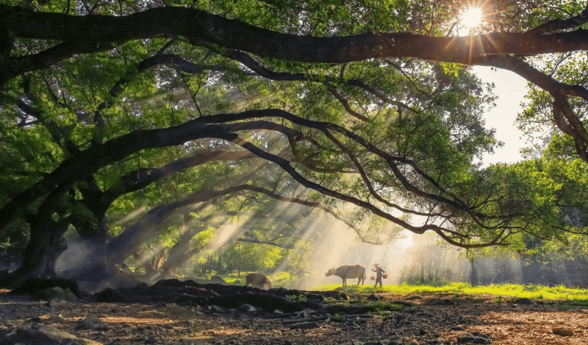 我的家乡-八闽风采