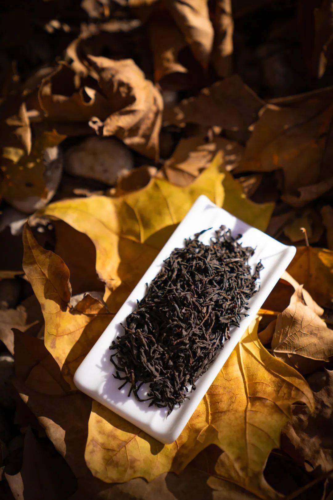 中国茶叶第一大省,凭什么是它?