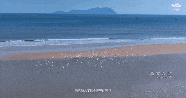 跟着“桃花坞”一起探索海滨城市——霞浦~