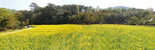漳平市赤水镇香寮村