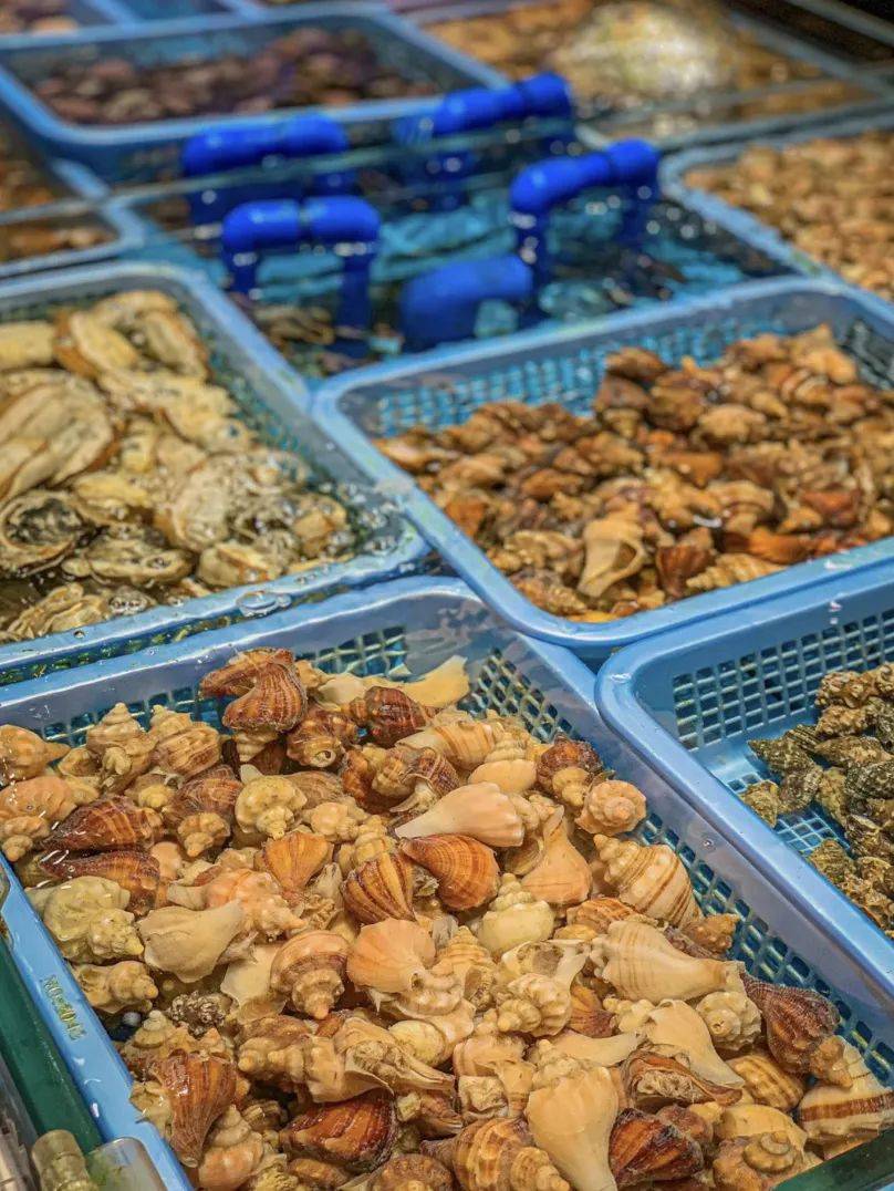 福建海产界的四大天王,4招就俘获福建人的心