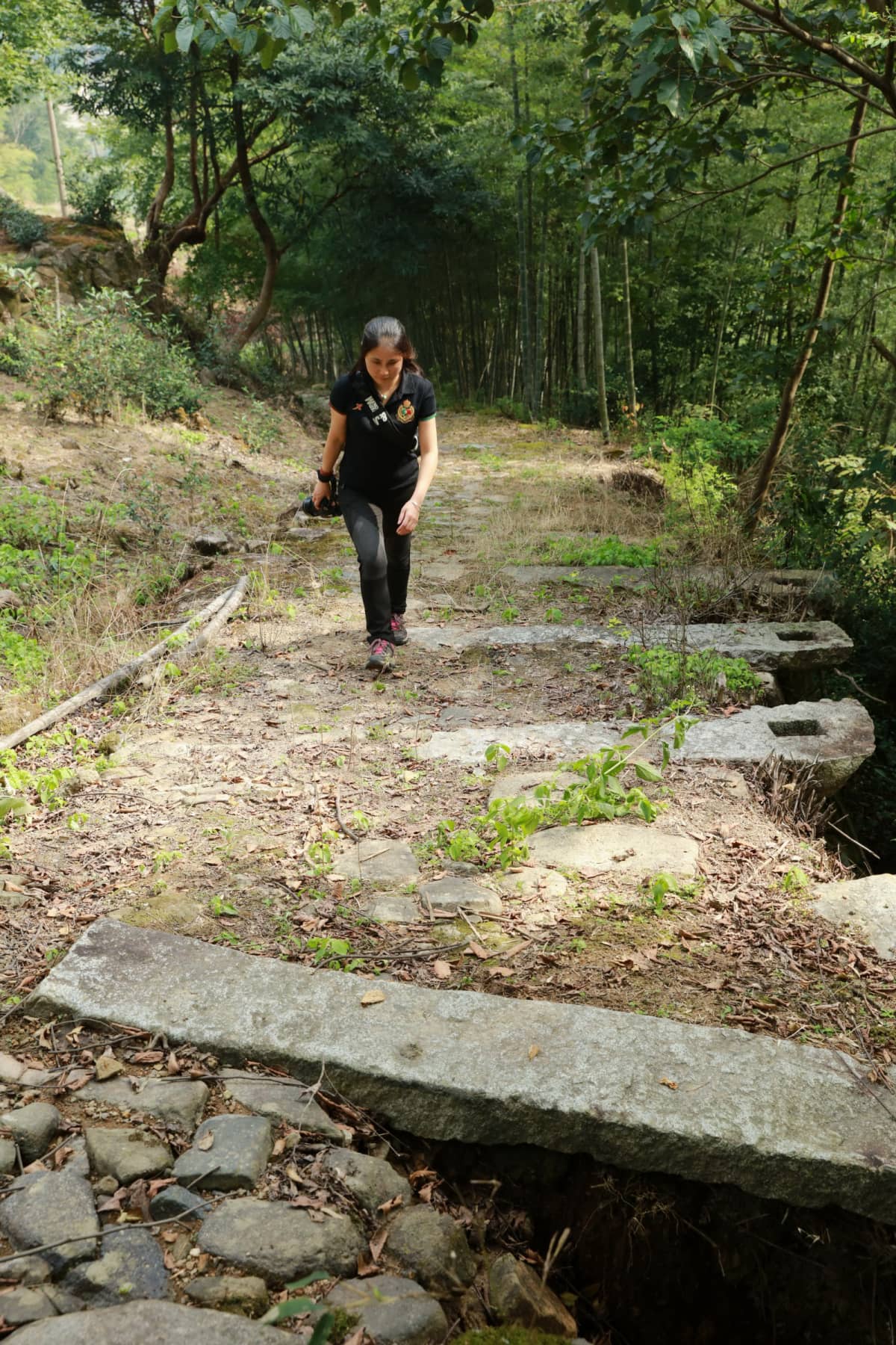 南平武夷山市大安村