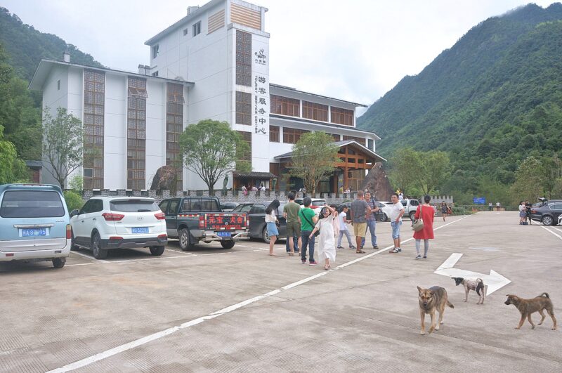 南平武夷山市大安村