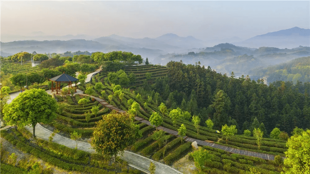 三明市大田县广平镇元沙村