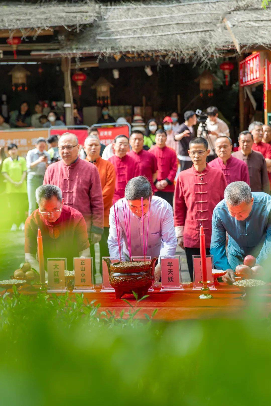 中国茶叶第一大省,凭什么是它?