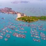 泉州市泉港区南埔镇惠屿村