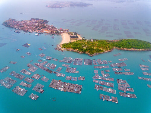 泉州市泉港区南埔镇惠屿村