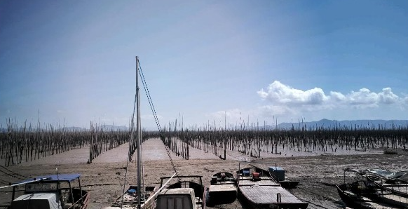🦀霞浦必买的十大特产🦀