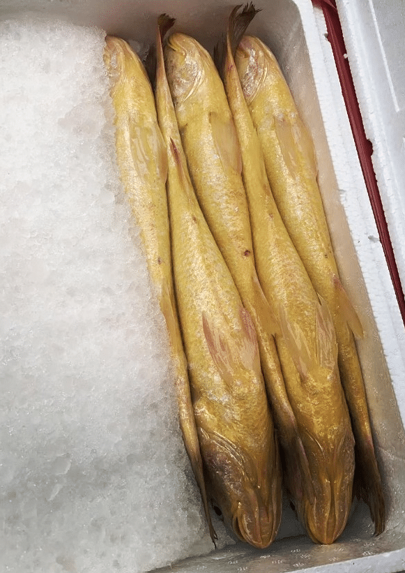 🦀霞浦必买的十大特产🦀