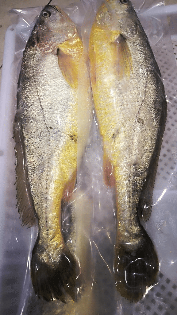 🦀霞浦必买的十大特产🦀