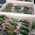 🦀霞浦必买的十大特产🦀