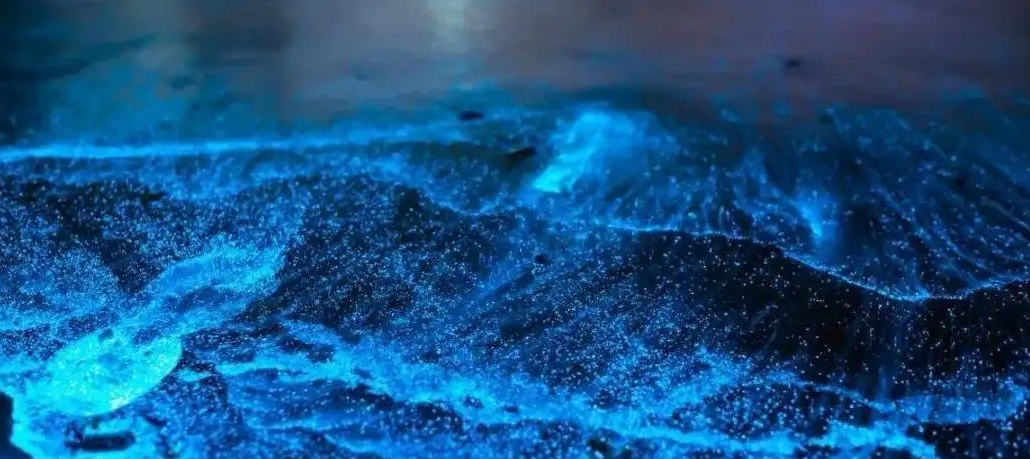 福建最值得去的8个地方,有车没车都要出发一趟,你去过几个?