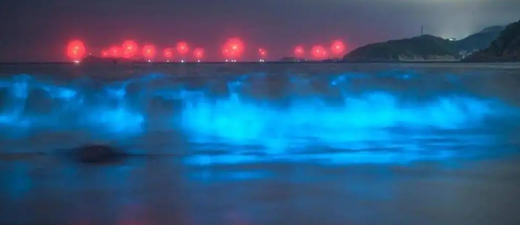 福建最值得去的8个地方,有车没车都要出发一趟,你去过几个?