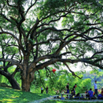 漳州市长泰县后坊村