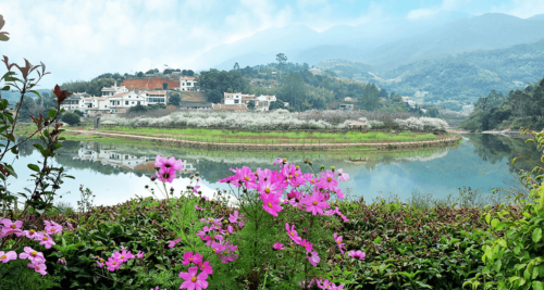 漳州市长泰县后坊村