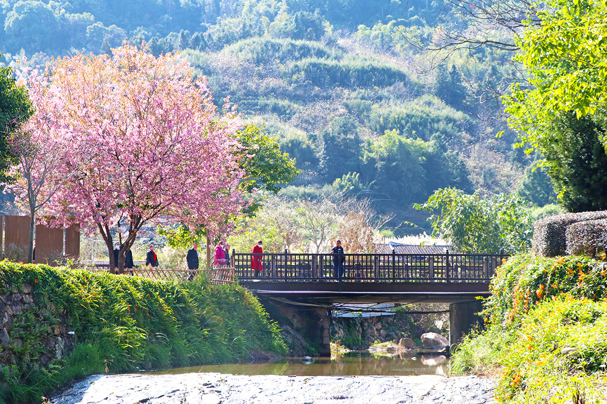 福建省漳州市华安县仙都镇大地村:奏响乡风文明之歌