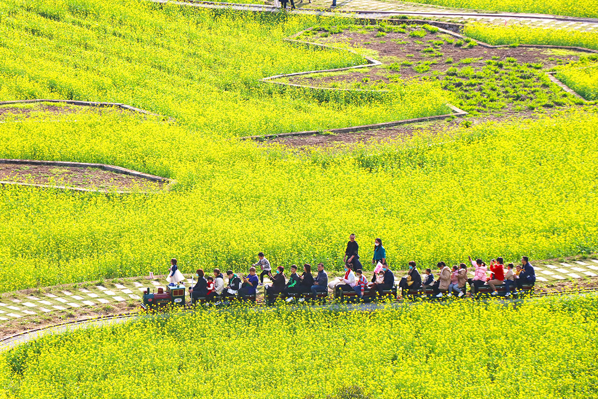 福建省漳州市华安县仙都镇大地村:奏响乡风文明之歌