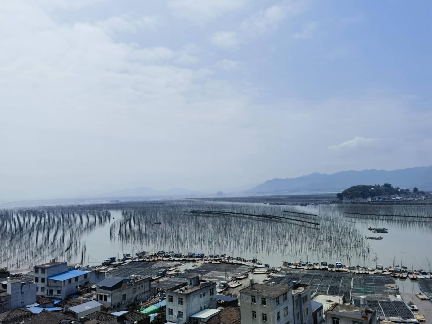 最美八闽,霞浦三沙围栏艳 沙江打卡“S”弯