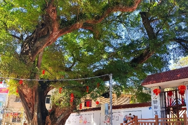 探索福州闽侯：五大古村落的历史与文化之旅