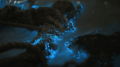 “霞浦，90%的人都玩错了！”