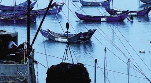 来自海带之乡的压缩小海带，免洗即食可涮、可炒、可煮，给你纯天然的味道！