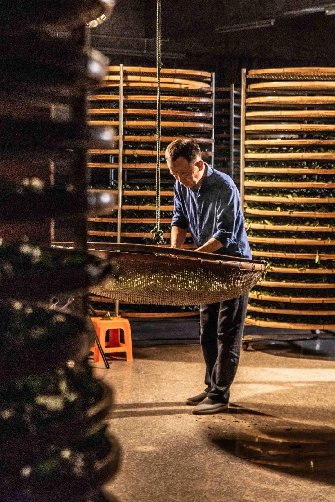 中国茶叶第一大省,凭什么是它?