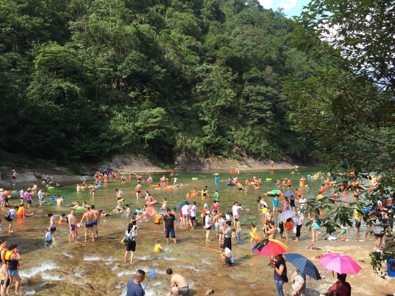 南平武夷山市大安村
