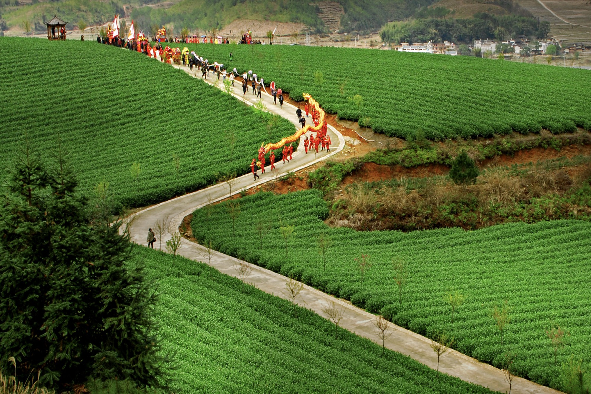 三明市清流县赖坊镇南山村