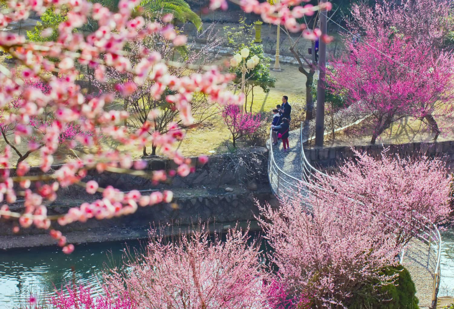 福州市连江县江南乡梅洋村