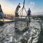 福建海产界的四大天王，4招就俘获福建人的心