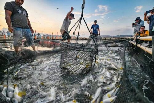 福建海产界的四大天王，4招就俘获福建人的心